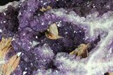 Thunder Bay Amethyst Cluster With Barite (Special Price) #62256-2